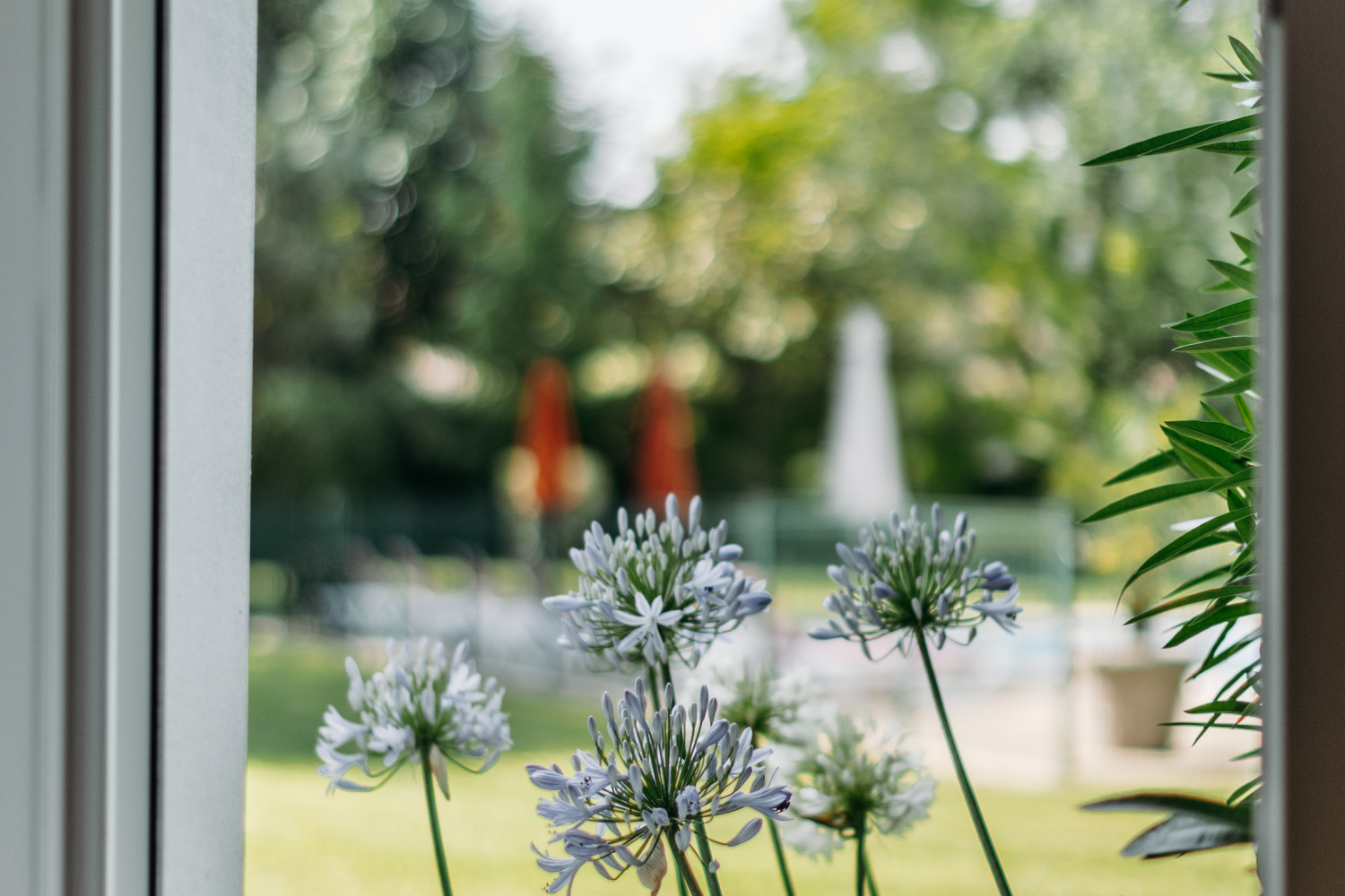 Exterieurs-chantecler-33