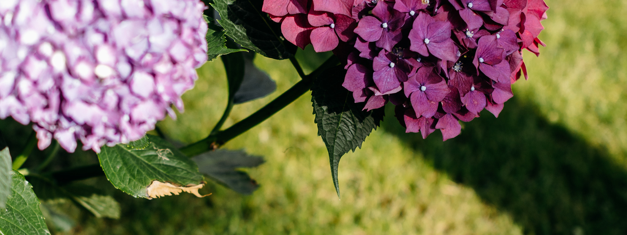 Exterieurs-chantecler-18